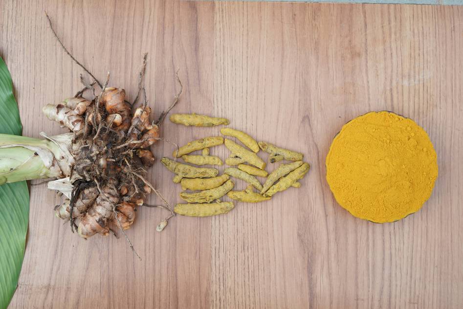 Diverse team preparing turmeric tea in a sunlit kitchen